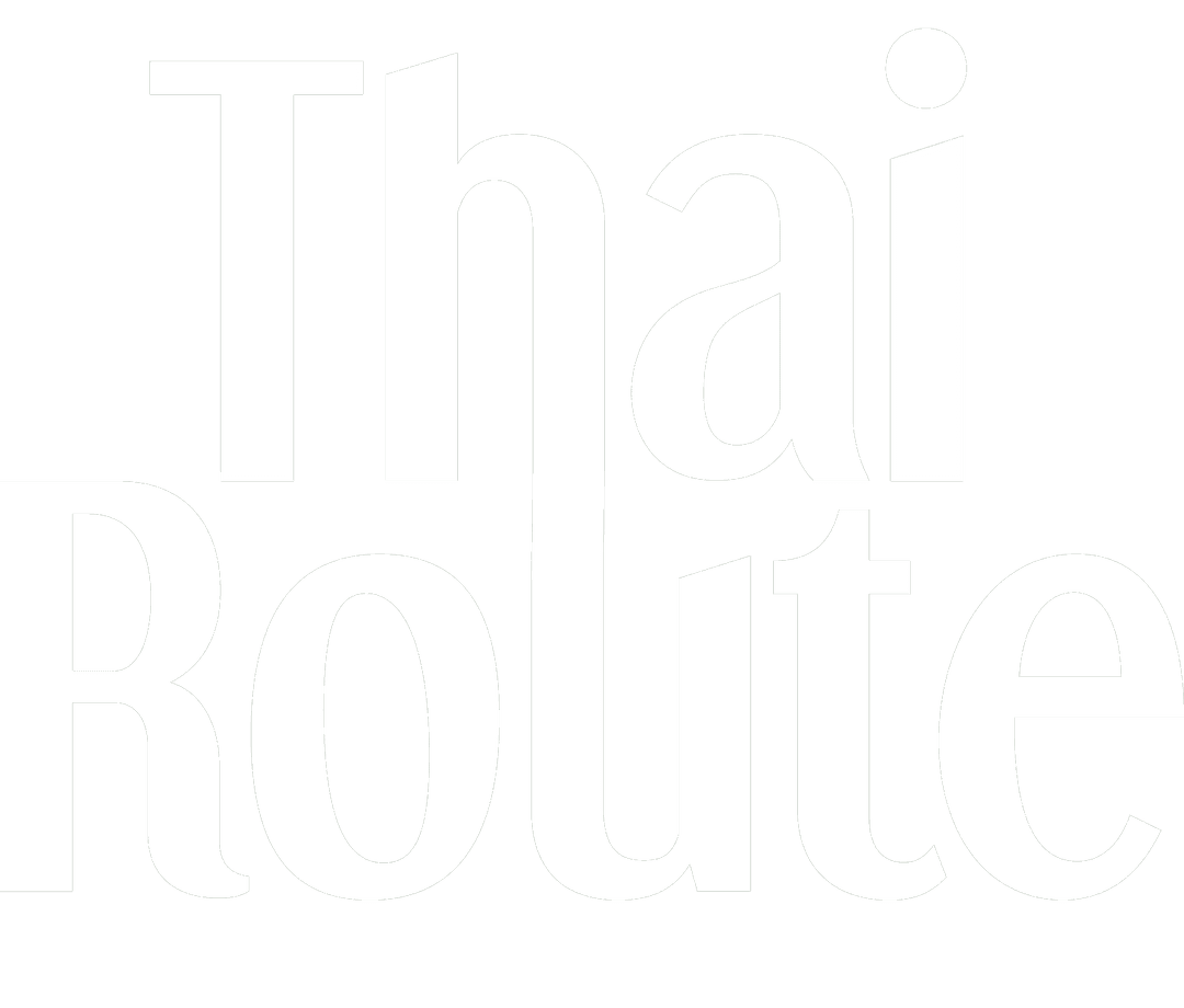 Khao Gai Tod (Kid)